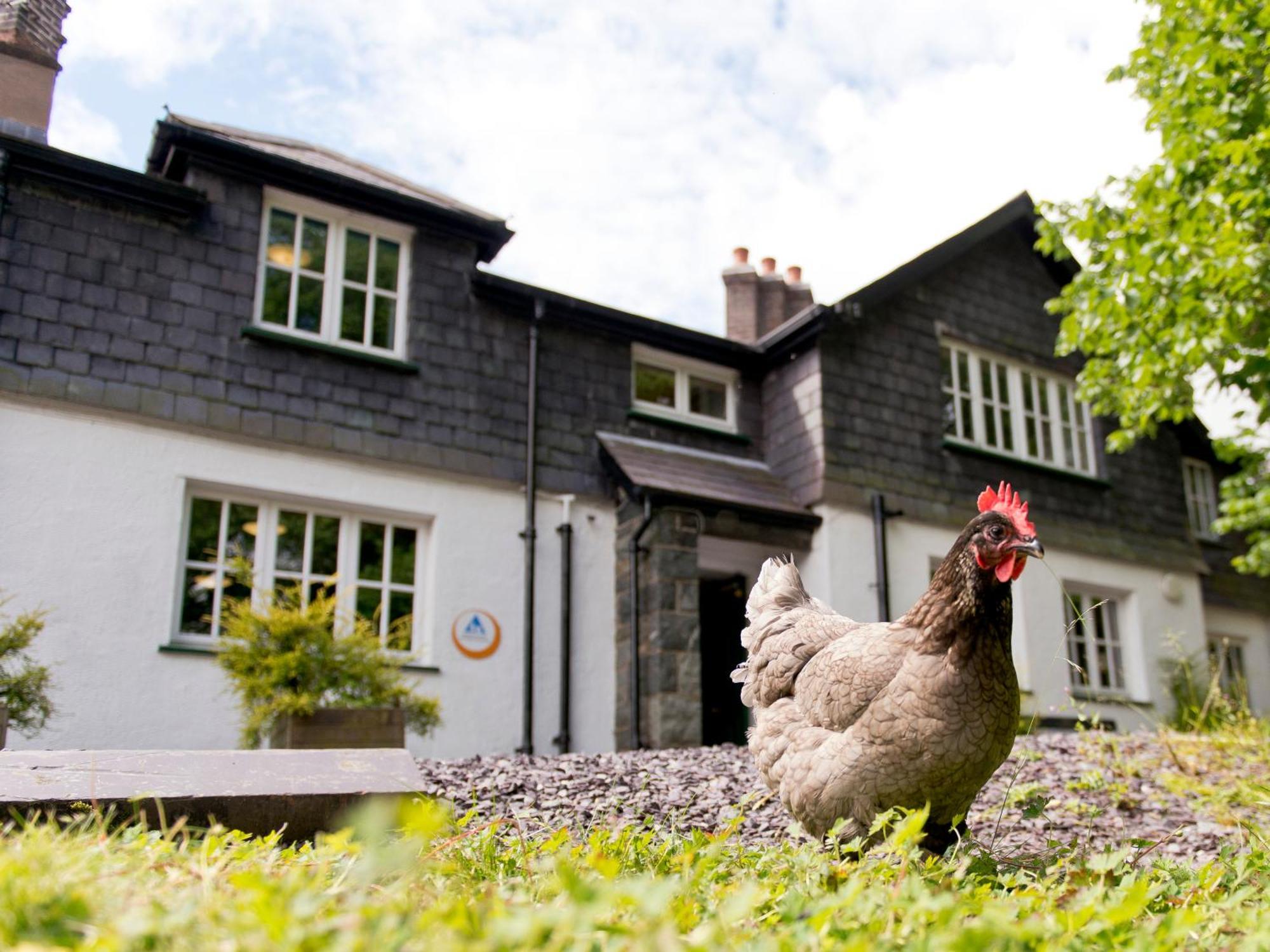 Yha Idwal Cottage Bethesda Ngoại thất bức ảnh